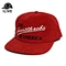 Snapbacks hat
